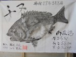 釣果