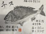 釣果